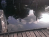 IMAG1246